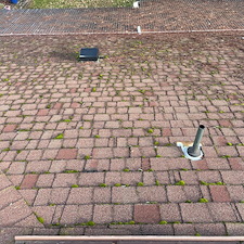 Roof-Wash-and-Moss-Treatment 1